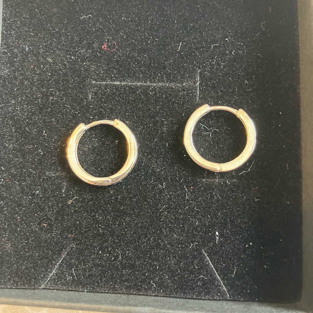 Elegant Gold Hoop Earrings